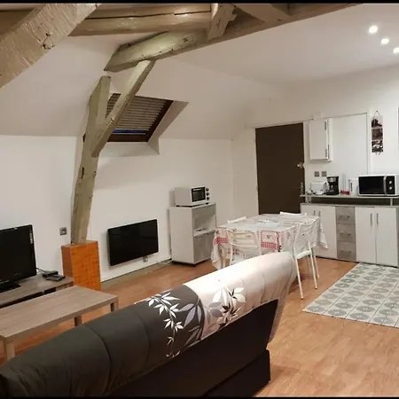 7 3 Min Du Futuroscope Apartment Chasseneuil-du-Poitou